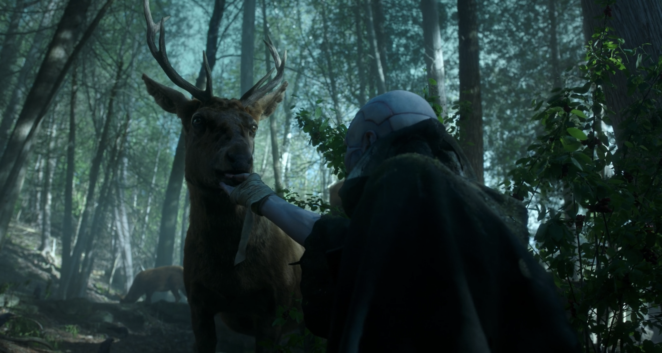 Jacob Elordi's character in Frankenstein, 2026 Oscar nominee, feeds a deer in the wild 